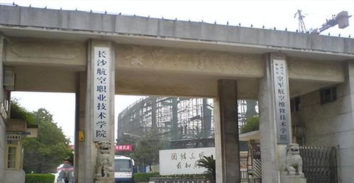 一宝藏专业全国仅2所大专开设,毕业有机会入编,张雪峰也没听过
