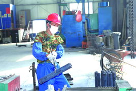 中国宝应研究所 县域科技创新的探索者