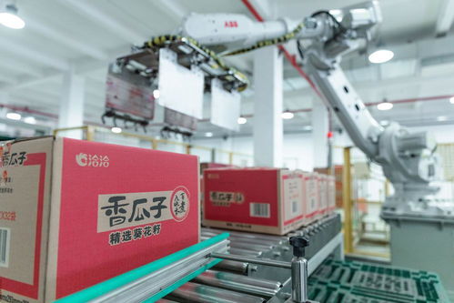 炒货之都 合肥孕育这家瓜子企业,用数字化控供应链 合肥新质观⑧.视频