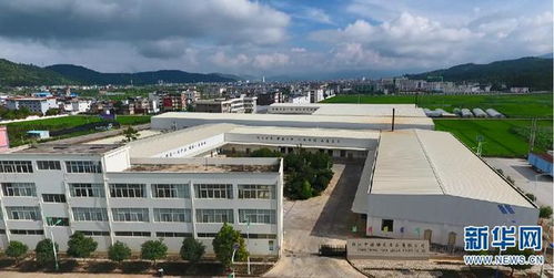 云南永胜 坚持党建引领 产业培育积蓄新动能