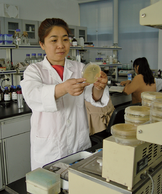 省劳动模范柴一秋 25载潜心钻研，铸就“虫花”情缘